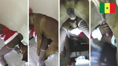 Dubai portta potty de l'influenceuse Thiaba Seck a dubai, narr bi dieul khadieum mou key katt be khadj bi daanou